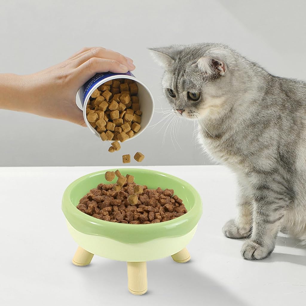 Qpets Cat Feeding Bowl, Elevated Pet Feeding Bowl with Feet, Cat Bowl for Dry & Wet Food Feeding Bowl for Cat Dog Food Grade PP Material (14CM Diameter) Qpets Cat Feeding Bowl, Elevated Pet Feeding Bowl with Feet, Cat Bowl for Dry & Wet Food Feeding Bowl for Cat Dog Food Grade PP Material (14CM Diameter)